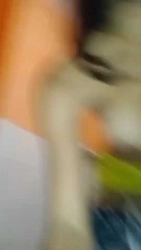 VID 20260209 022008 721