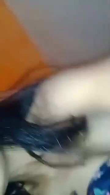 VID 20260209 022023 649