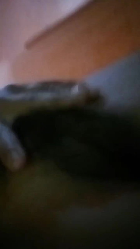 VID 20260402 012834 659