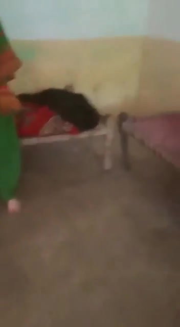 012bdfbb 0504 46d8 8912 f4a0885ab6bb