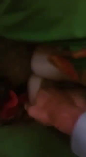 012bdfbb 0504 46d8 8912 f4a0885ab6bb