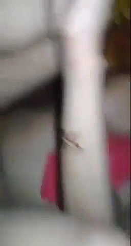 Sharmili Bhabhi Ko Devar Chod