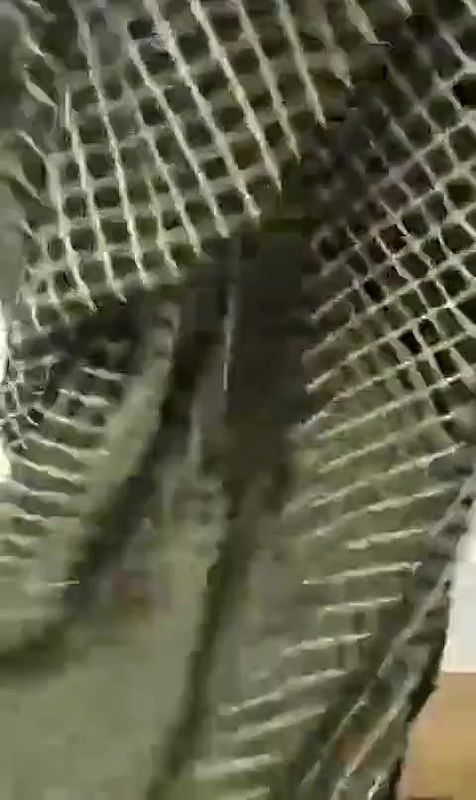 hot housewife fingering masturbation