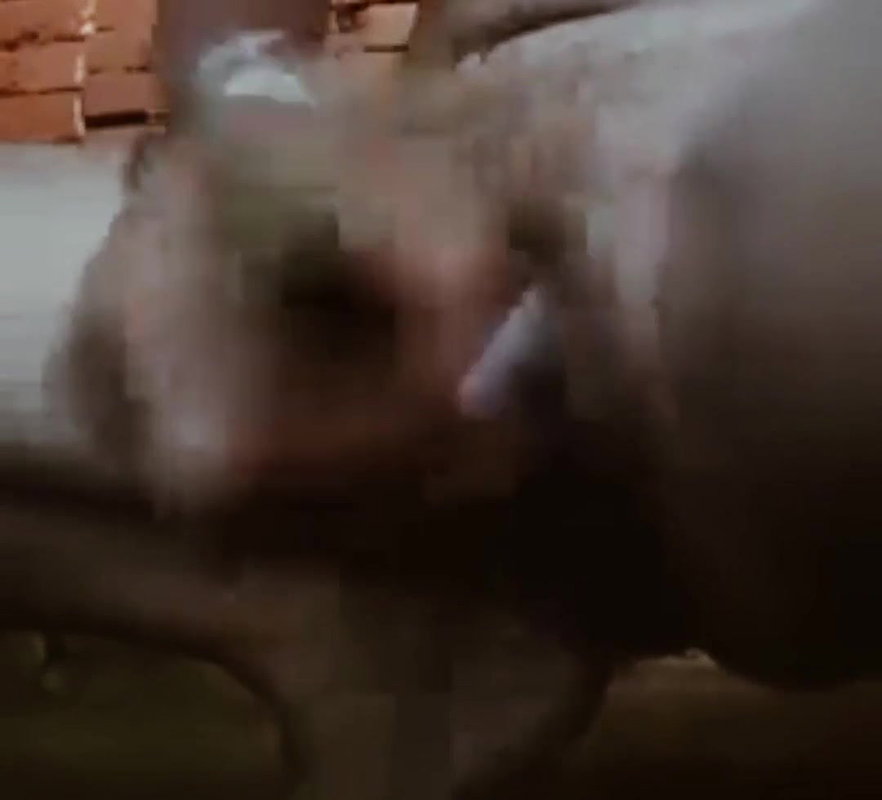 Hot Indian aunty ki cudai video hindi webcam aunty ki mast cudai video hindi hot bhabhi ki cudai video hindi desi bhabhi