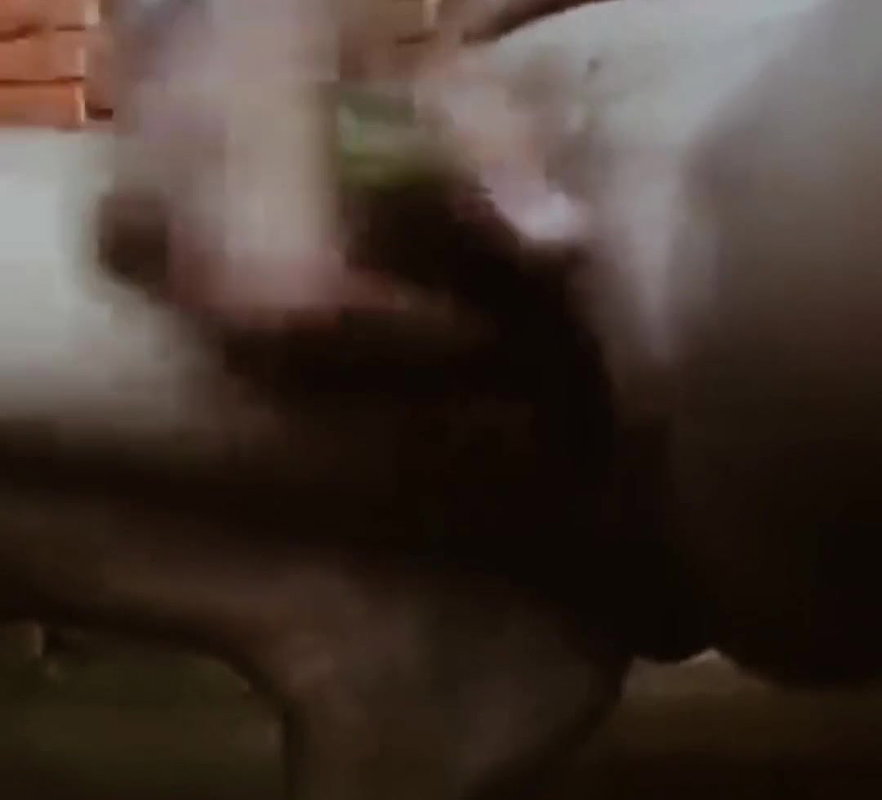 Hot Indian aunty ki cudai video hindi webcam aunty ki mast cudai video hindi hot bhabhi ki cudai video hindi desi bhabhi