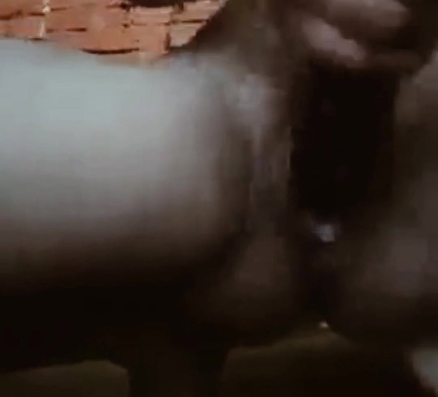 Hot Indian aunty ki cudai video hindi webcam aunty ki mast cudai video hindi hot bhabhi ki cudai video hindi desi bhabhi