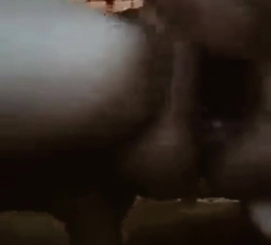 Hot Indian aunty ki cudai video hindi webcam aunty ki mast cudai video hindi hot bhabhi ki cudai video hindi desi bhabhi