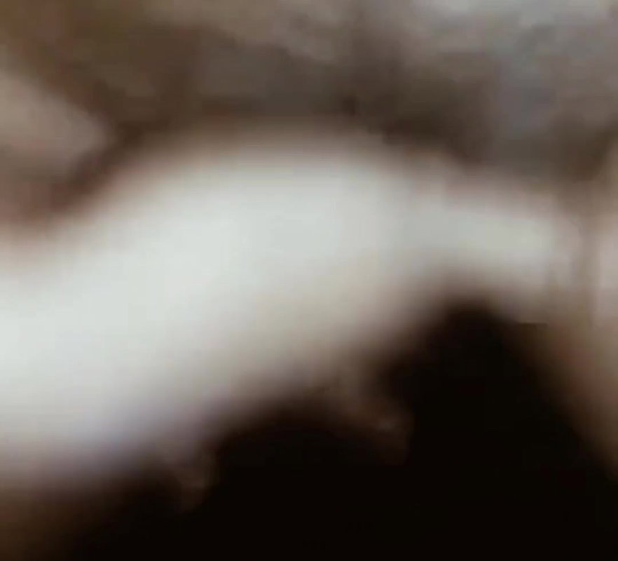 Hot Indian aunty ki mast cudai video hindi webcam aunty ki cudai video indian bhabhi ki cudai video hindi desi aunty ki