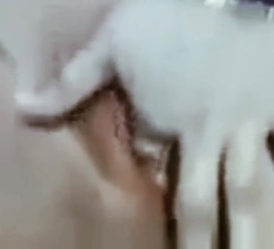 Hot Indian aunty ki mast cudai video hindi webcam aunty ki mast cudai video hindi webcam bhabhi ki mms video hindi hot