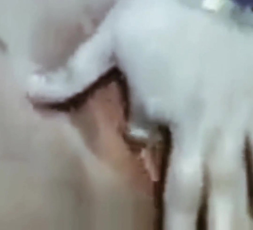 Hot Indian aunty ki mast cudai video hindi webcam aunty ki mast cudai video hindi webcam bhabhi ki mms video hindi hot