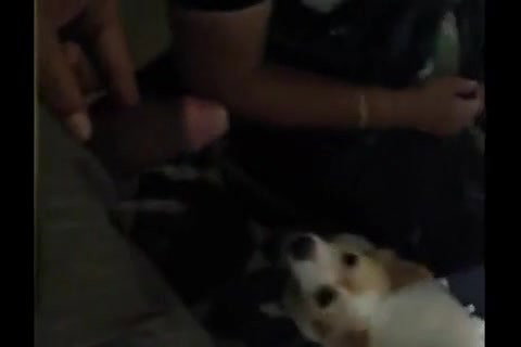 Busty Andhra Aunty Blowjob And Doggy Style wild