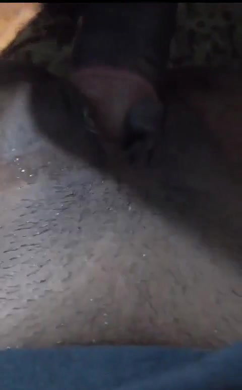 dusky Tamil MILF wet pussy fucking after blowjob