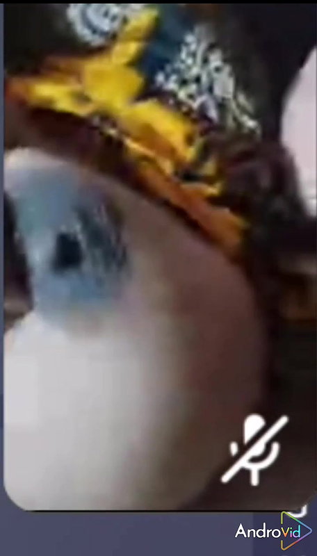 hot wife exposing nude body curves to ex lover