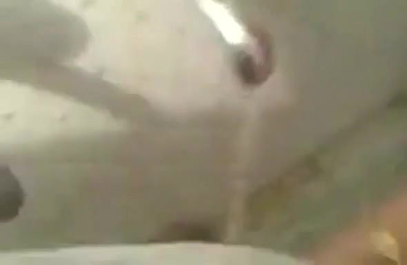 2ca55581 3862 4e37 9fae 90a83d2d9f64