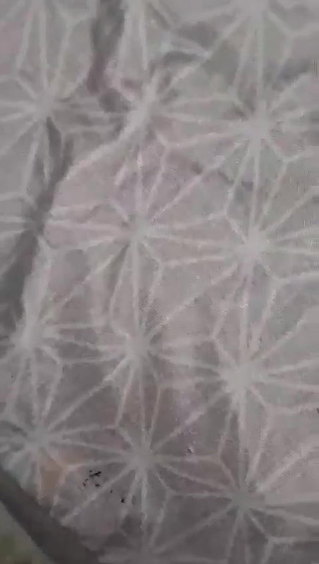 Cute Horny Girlfriend Riding Boyfriend