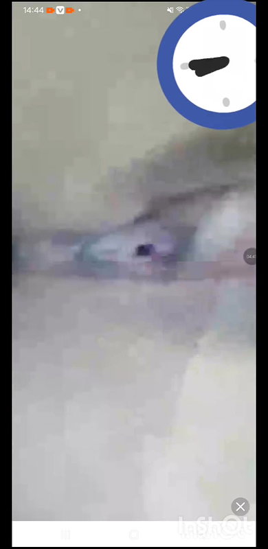 ANTISOCIAL CHAMET HORNY GIRL