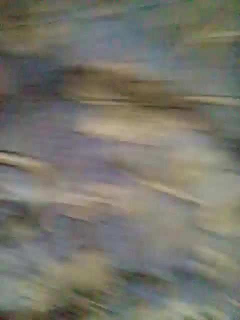 4 5945216794821140082