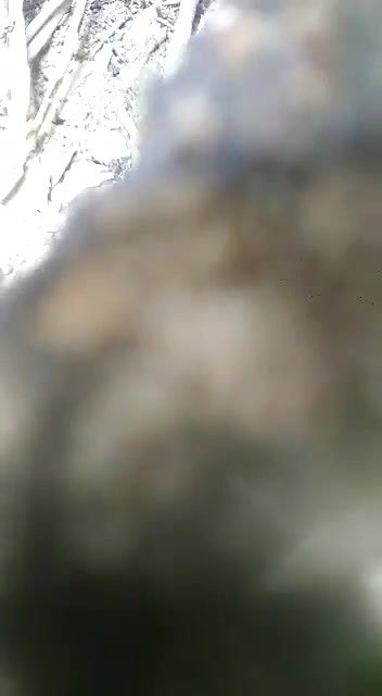 Jungle me kiya Chudayi