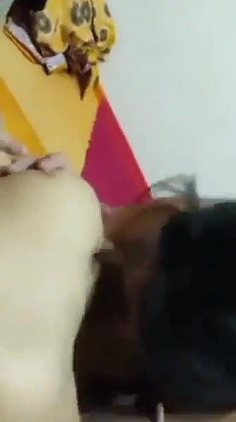170019