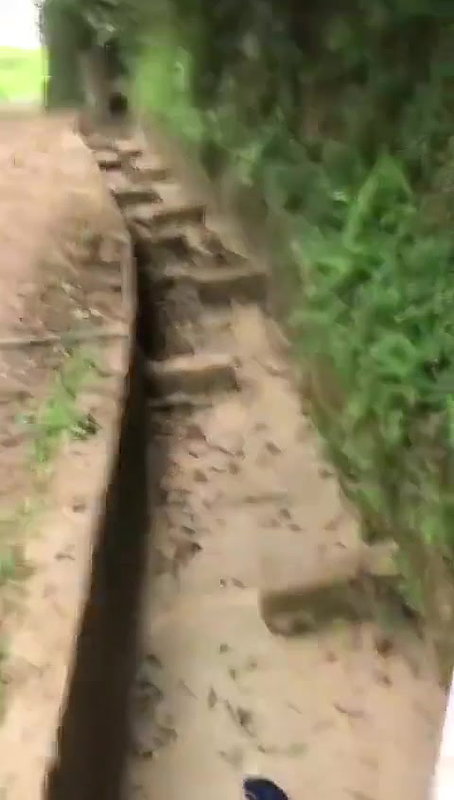 outdoor sex after bj