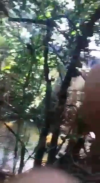 jungle mein ladki ne kri lund ki sawari