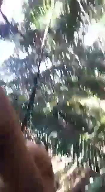jungle mein ladki ne kri lund ki sawari