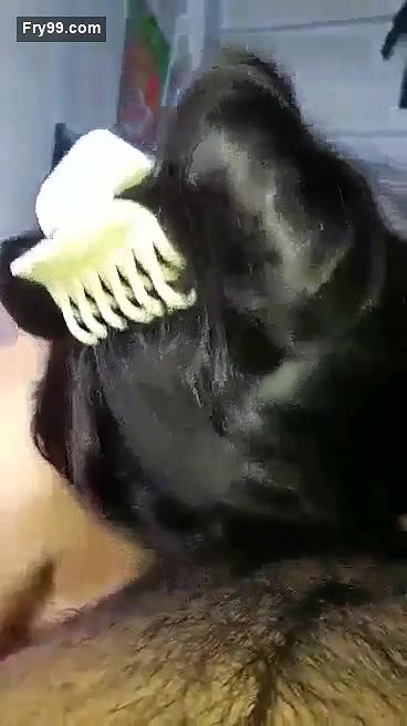 Beauty Wife Loves giving blowjob