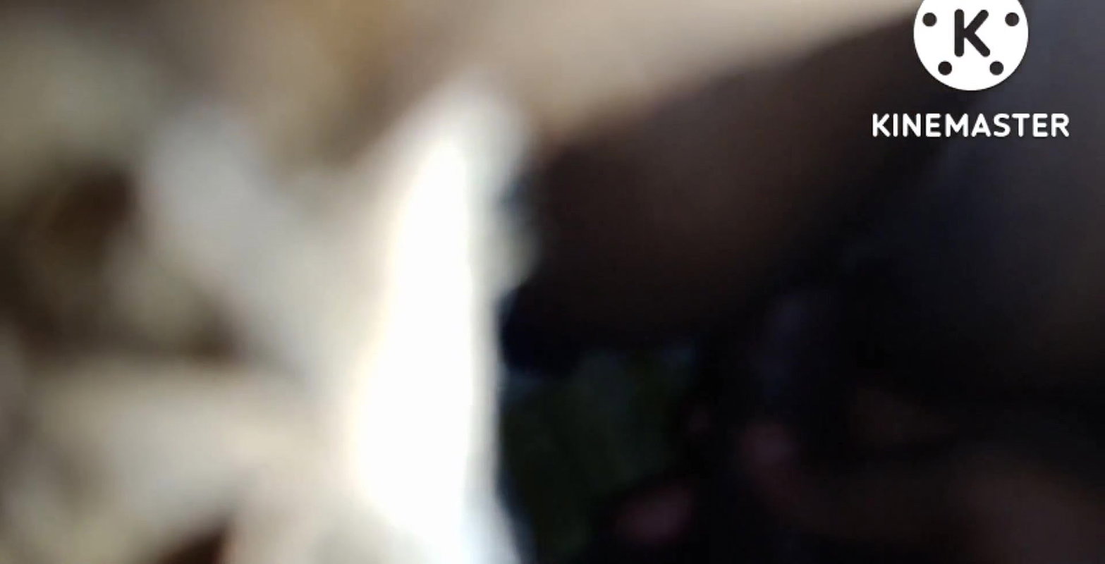 Mere mausa ne mujhako chod dala