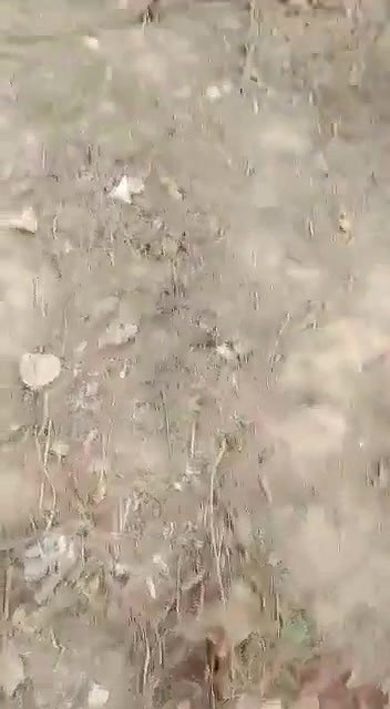 Dehati lovers caught fucking on cam by a voyeur