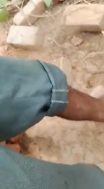 Dehati lovers caught fucking on cam by a voyeur