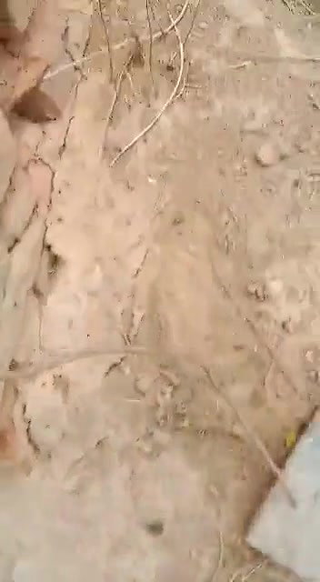 Dehati lovers caught fucking on cam by a voyeur