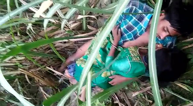 VID 20260409 WA0019