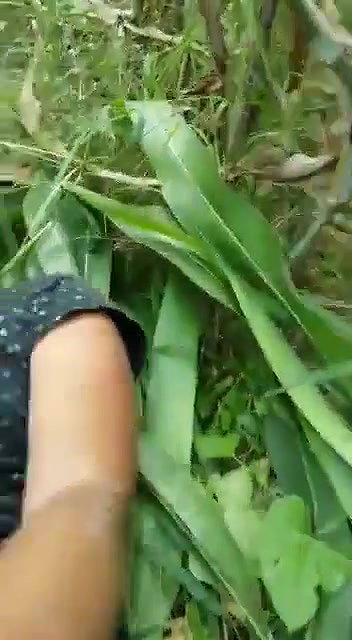 VID 20260409 WA0010