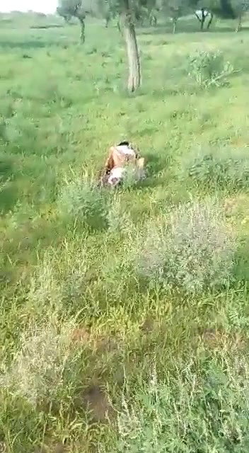 VID 20260409 WA0018