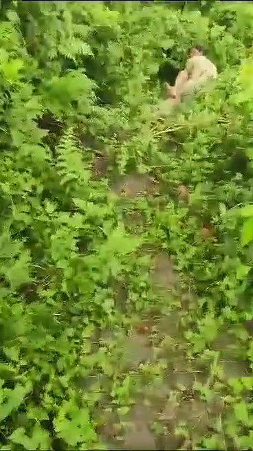 VID 20260102 WA0002