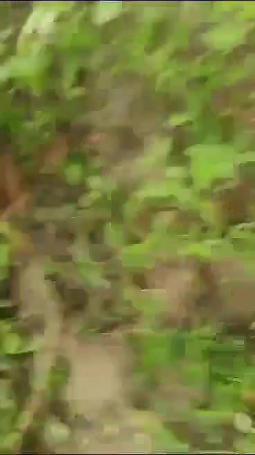 VID 20260102 WA0002