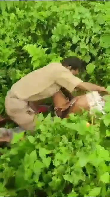 VID 20260102 WA0002
