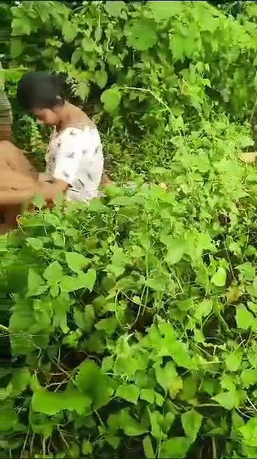 VID 20260102 WA0002