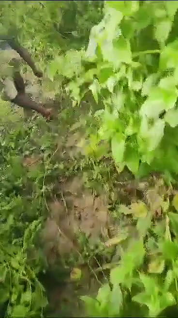 VID 20260102 WA0002