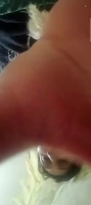 VID 20251126 WA0024