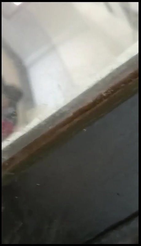 Beautiful girl pussy fucking inside seminar