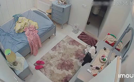 VID 21531841