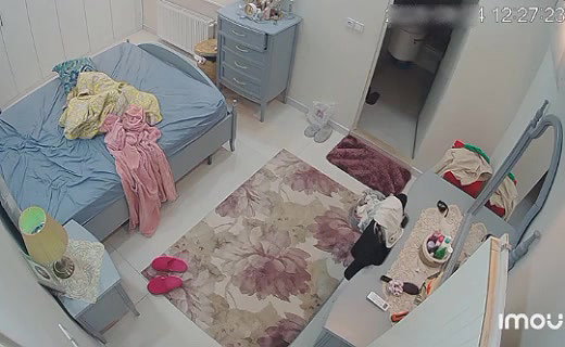 VID 21531841