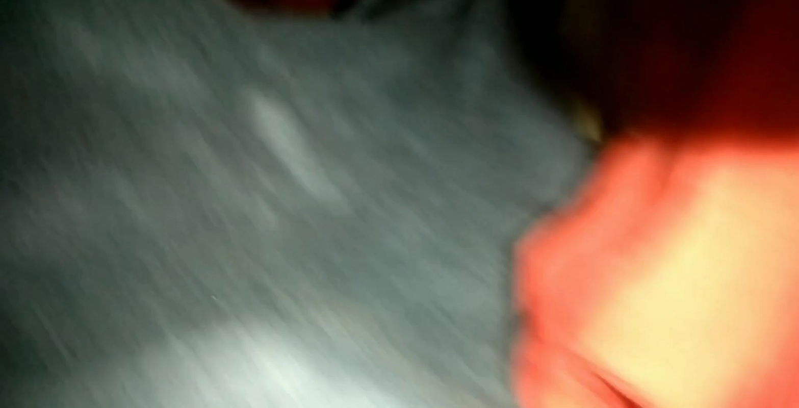 Raat ko Meena ne Sone se pahle LUND CHUSA