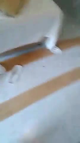 One girl and two boy fuck