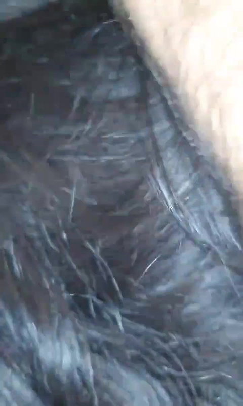 Village girl perfect blowjob