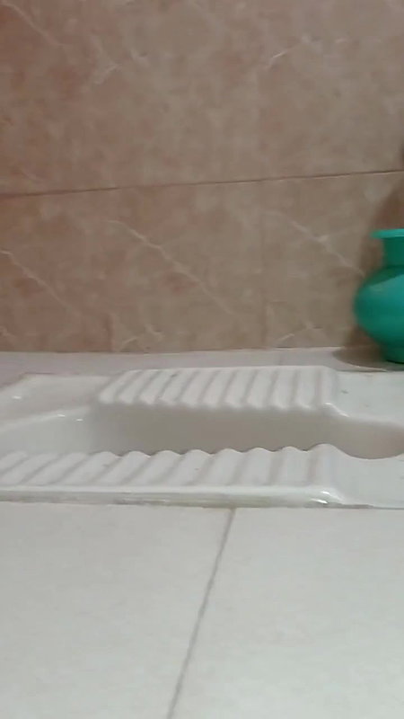 Desi GF Recording Herself Peeing on Toilet