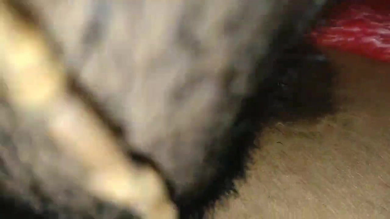 Wife Sex Video with My Big Dick Bangladeshi