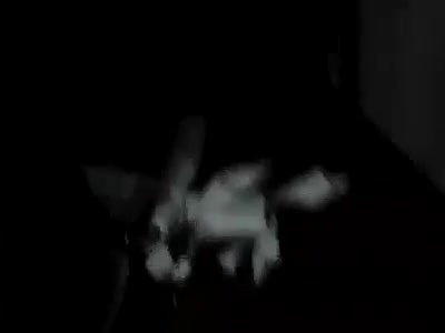 homemade sex of desi lovers