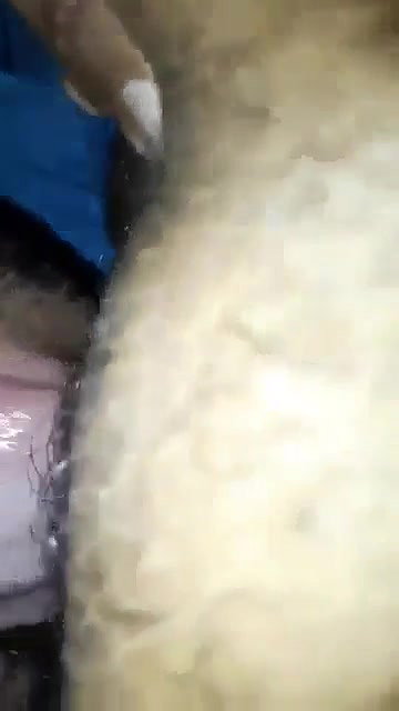 hairy pussy licking